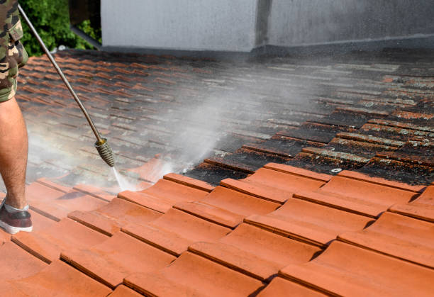 Best Roof Power Washing Services  in Buckley, WA