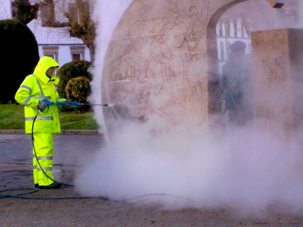 Best Roof Pressure Washing  in Buckley, WA