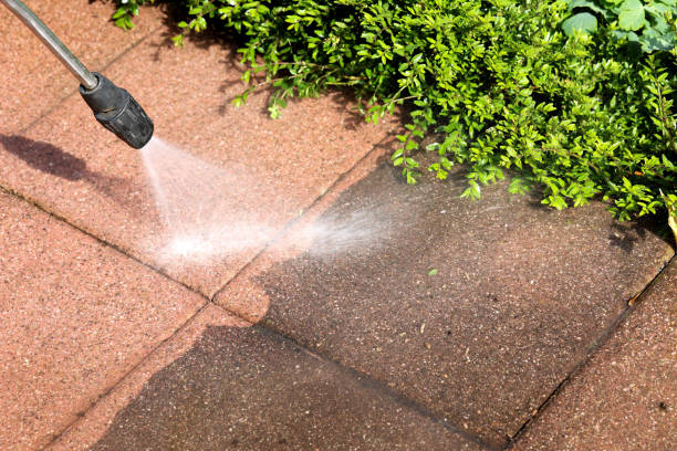 Best Residential Pressure Washing Services  in Buckley, WA